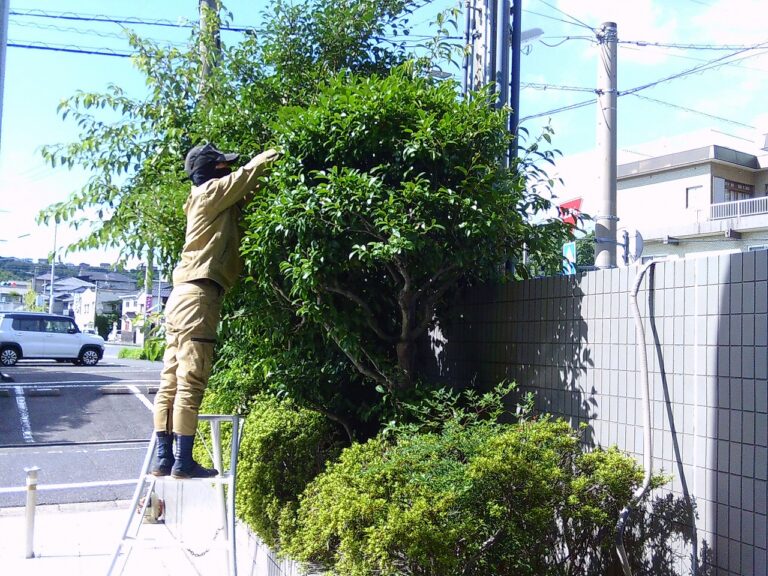 樹木管理専門業者の株式会社佐藤造園